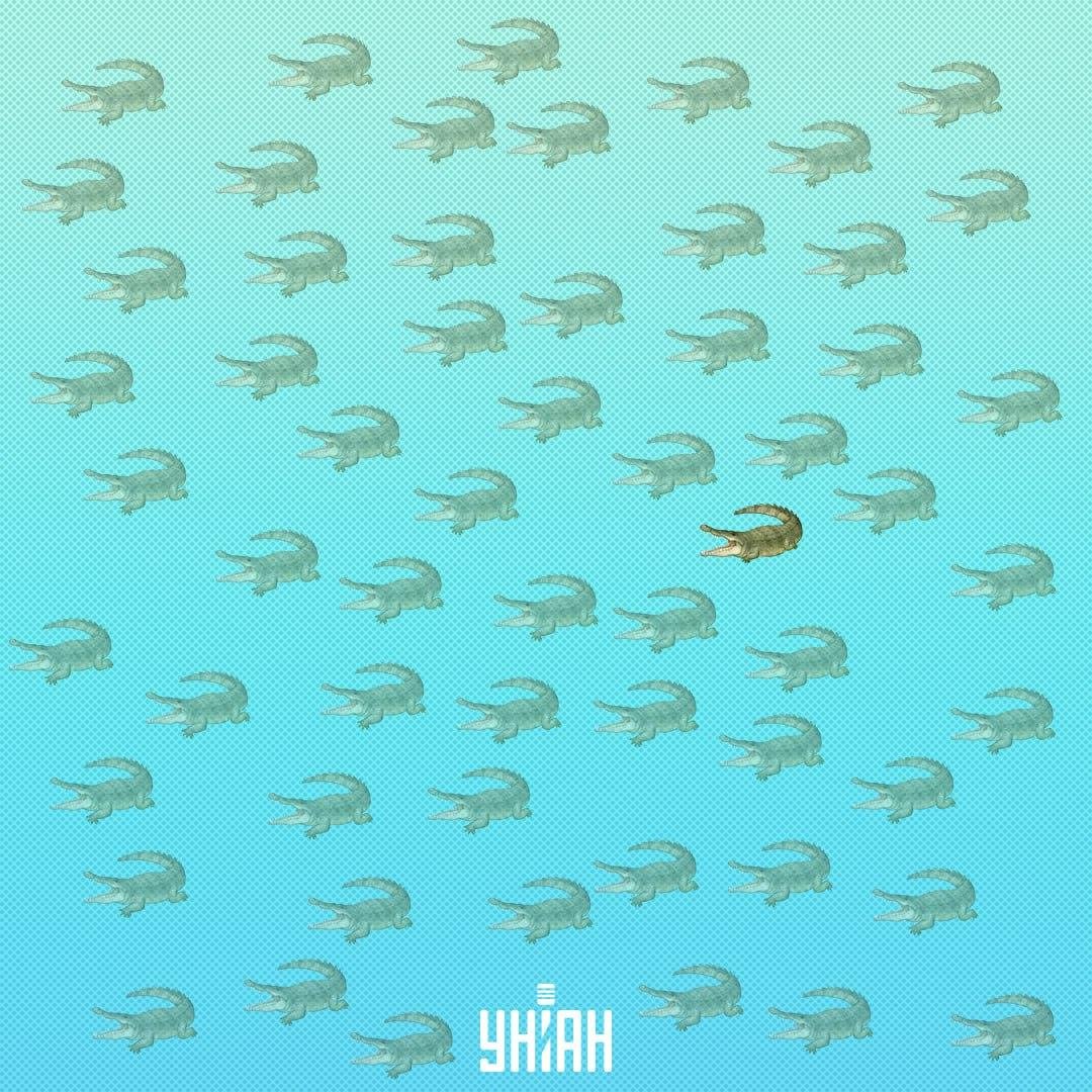 Hij had dichter bij het midden gevonden moeten worden, aan de rechterkant / Moje Collage