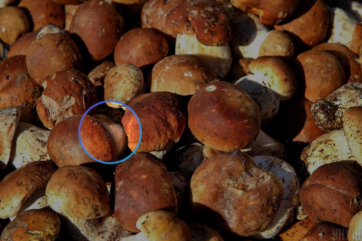 De steen lag bijna in het midden van de optische illusie / Moje collage