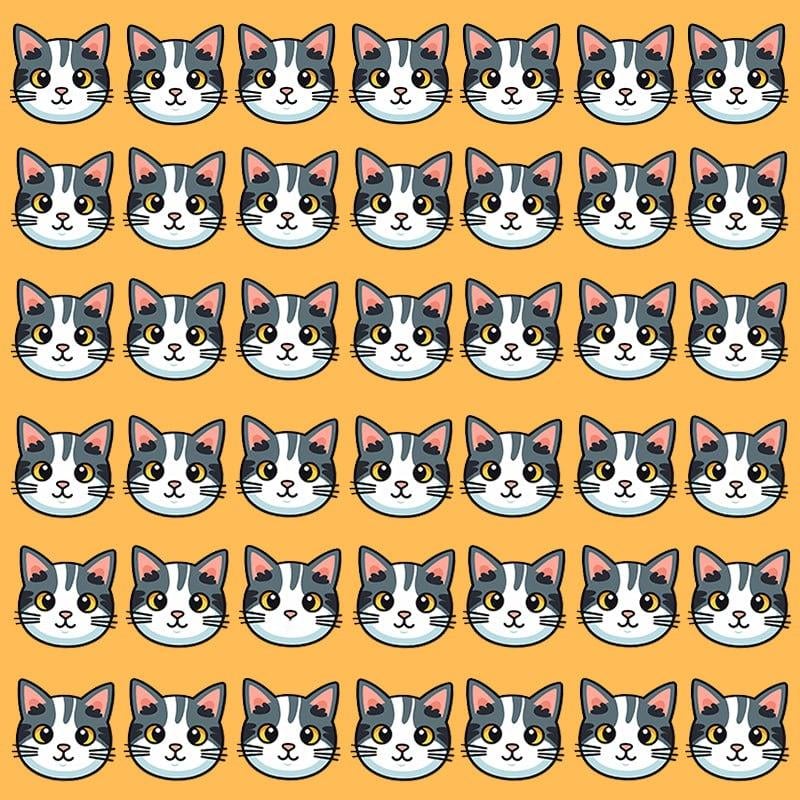 Deze optische illusie is alleen mogelijk voor mensen met een grandioos IQ / Moje image