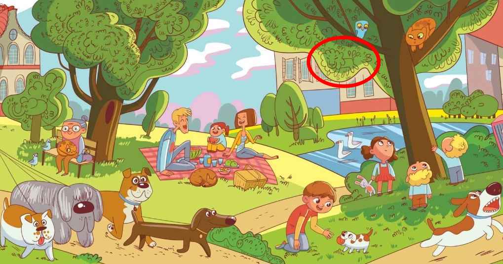 Dit is een opdracht die maar een paar mensen kunnen: je moet de leeuw in het park vinden in 6 seconden