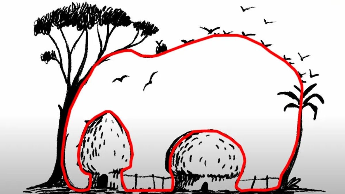 Oplossing voor de optische illusie