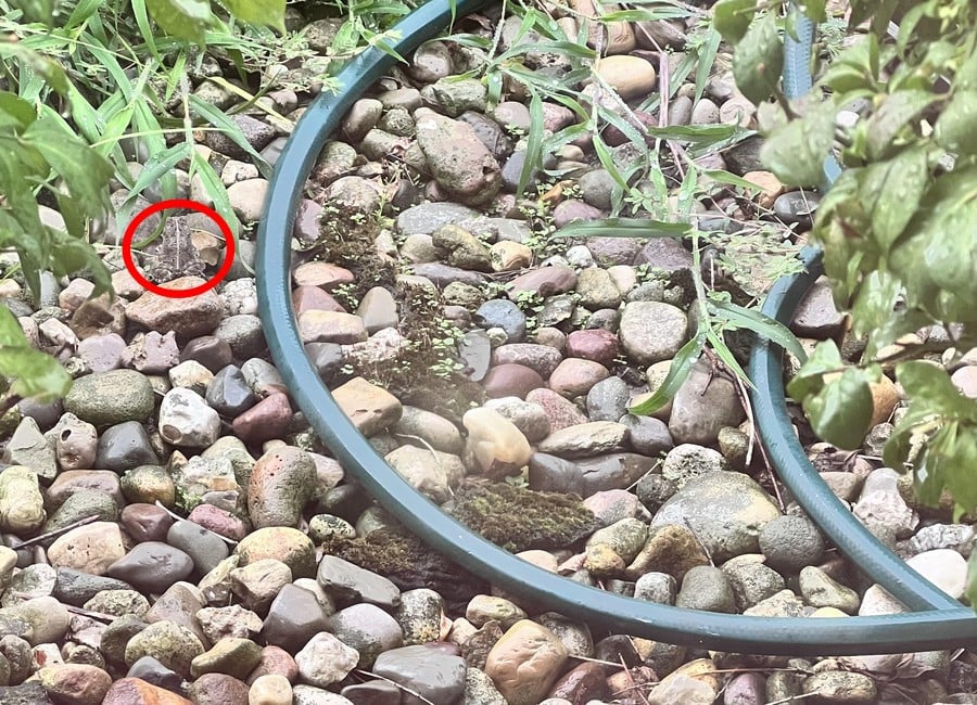 De optische illusie ontrafelen