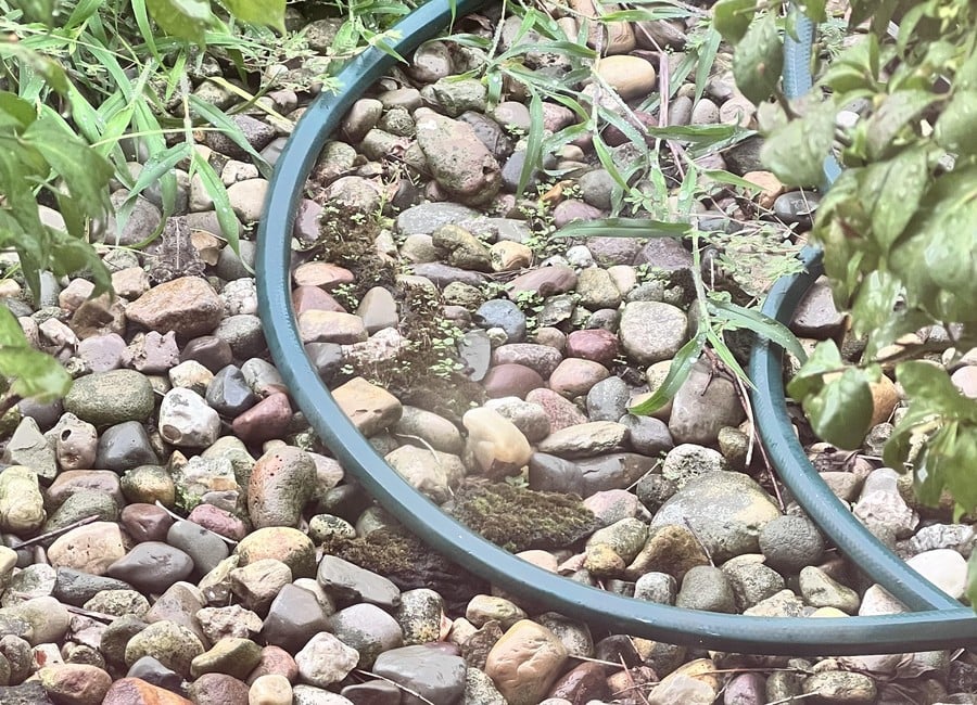 Optische illusie: zoek de verborgen kikker