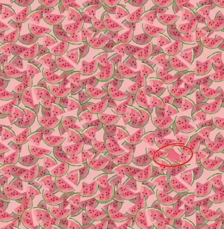 Vind een speciale watermeloen in 10 seconden