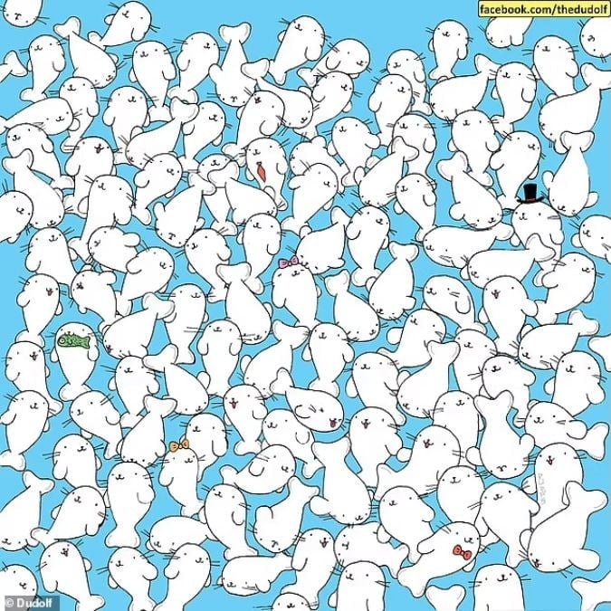 Een puzzel voor mensen met een scherp gezichtsvermogen: vind de marshmallow tussen de zeehonden in 11 seconden
