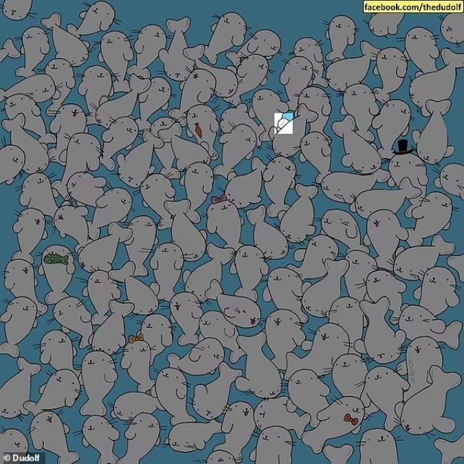 Een puzzel voor mensen met een scherp gezichtsvermogen: vind de marshmallow tussen de zeehonden in 11 seconden