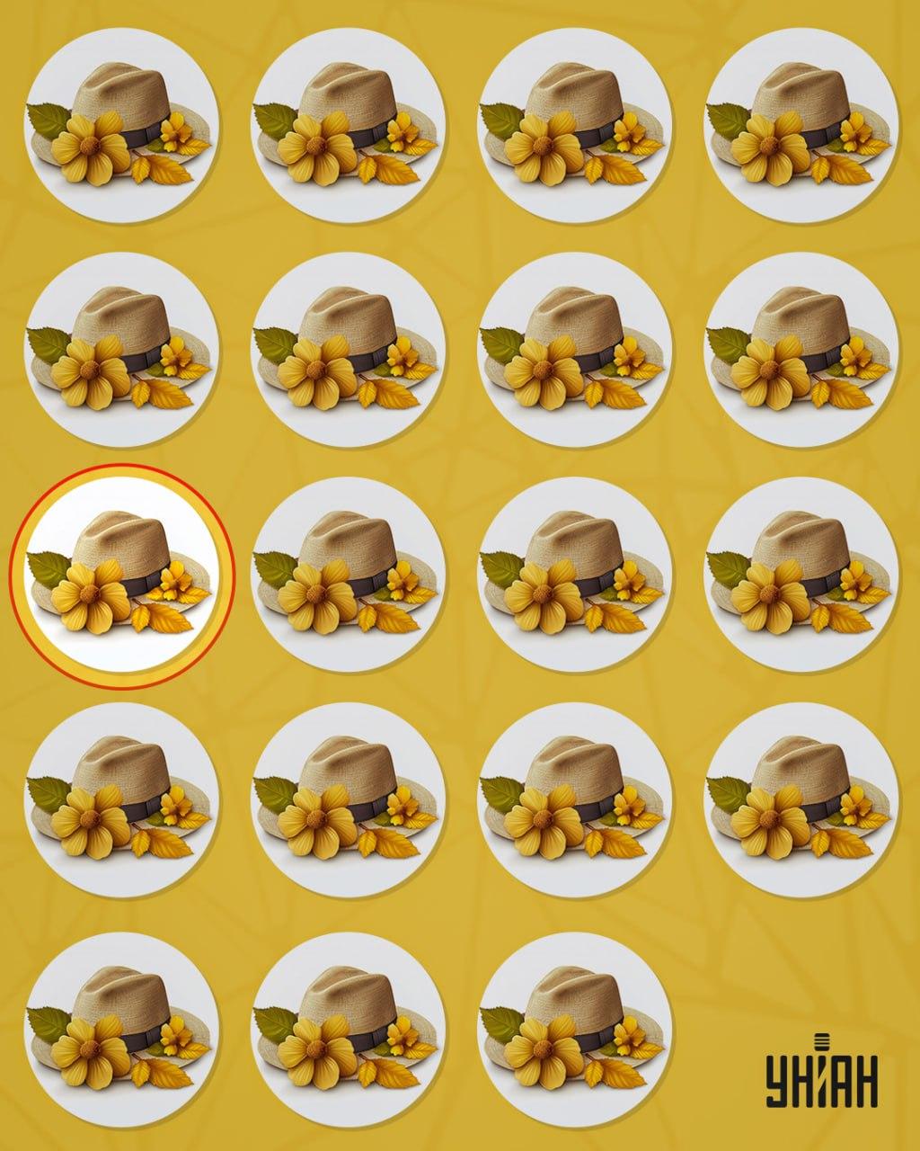 De vreemde hoed onderscheidde zich van de anderen door een klein detail / Moje collage