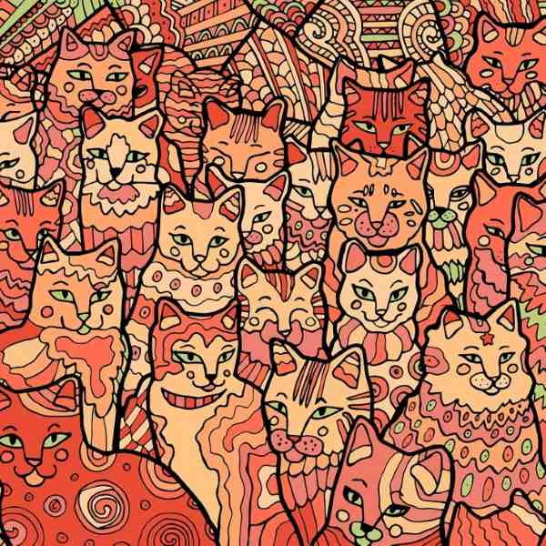 Optische illusie voor mensen met arendsogen: je moet een ster vinden tussen de katten