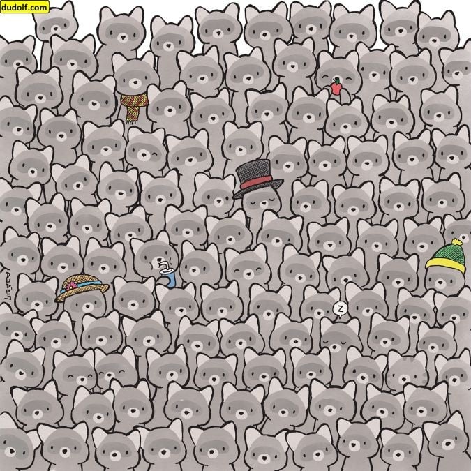 Een puzzel voor echte genieën: vind een kat tussen wasberen in 15 seconden