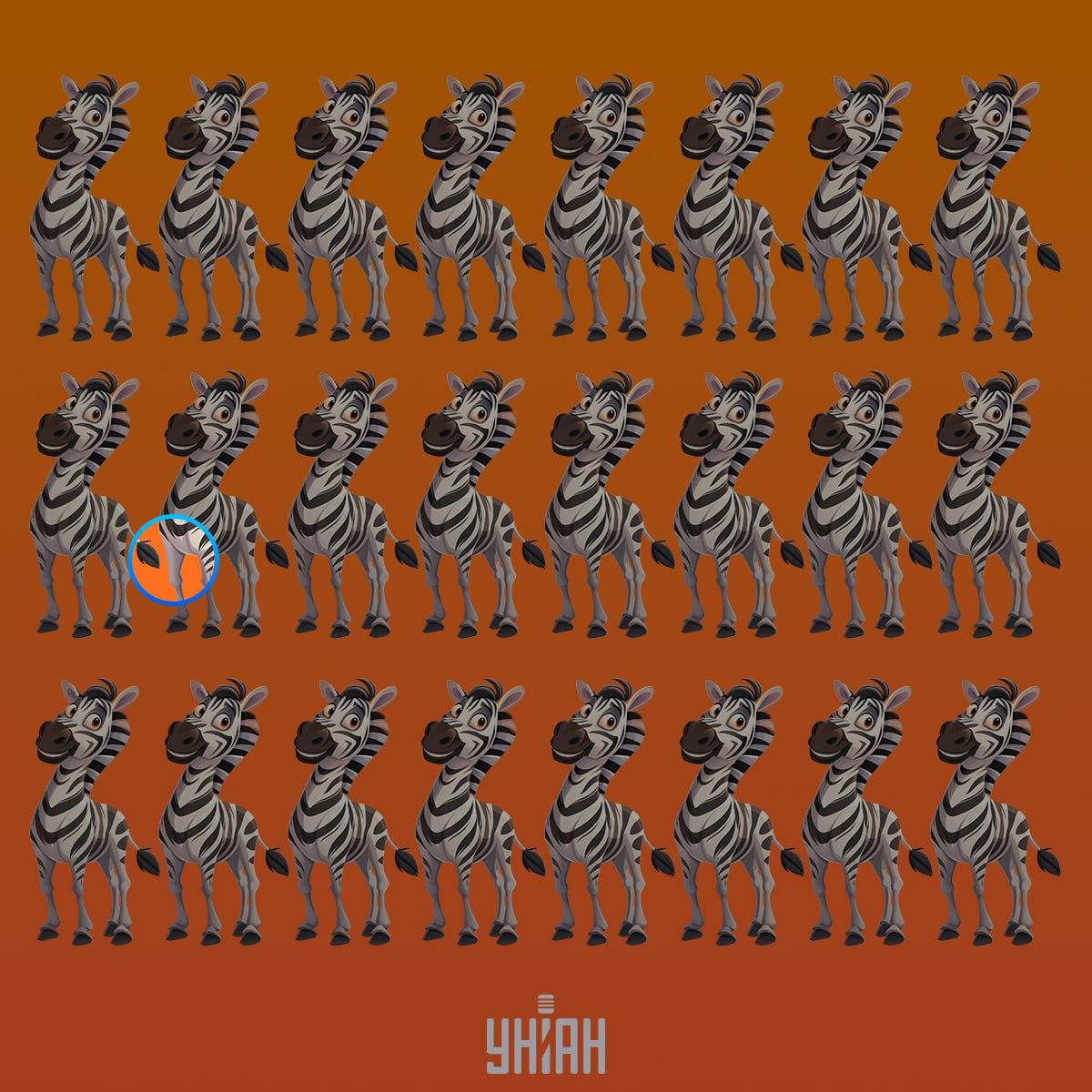 Een vreemde zebra stond in de tweede rij van boven / Moje collage