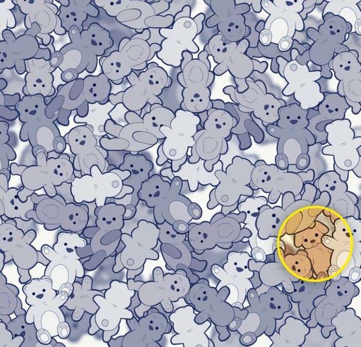 Zoek de hond tussen de teddyberen: een leuke puzzel voor de oplettende kinderen