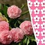 97% van de mensen kan het woord “boeket” niet vinden