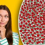 Alleen de superoplettende kan de krab in het plaatje vinden: