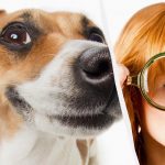 Alleen een echte IQ-titaan ziet een hond in de sneeuw in 10 seconden: een adembenemende optische illusie Alleen een echte IQ-titaan ziet een hond in de sneeuw