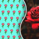 Alleen een genie zou in 5 seconden een vreemde roos