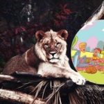 Dit is een taak die maar weinigen kunnen: je moet