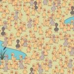 Een puzzel voor de lol en vindingrijk: je moet een