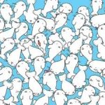 Een puzzel voor slechtzienden: vind de marshmallow tussen de zeehonden