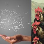 Eenvoudige IQ-test: vind de kip tussen de hanen in 7 seconden Eenvoudige IQ-test: vind de kip tussen de hanen in 7