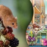 In 12 seconden een muis vinden in de bibliotheek: een