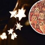 Optische illusie voor mensen met arendsogen: je moet een ster