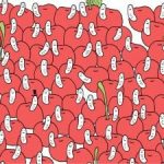 Puzzel voor arendsogen: vind een kers zonder worm in 30