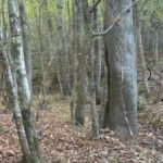 Rebus voor degenen met een uitstekend gezichtsvermogen: je moet binnen