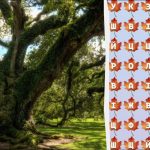 Slechts 2 procent van de genieën vindt het woord ‘boom’