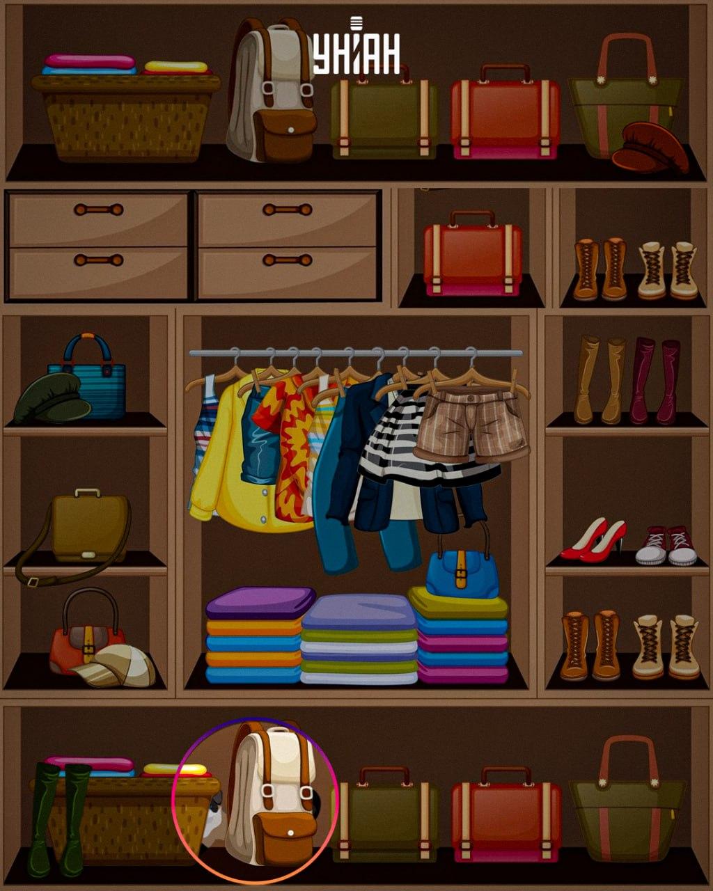 Het sluwe dier werd onderaan de afbeelding geplaatst / collage Moje