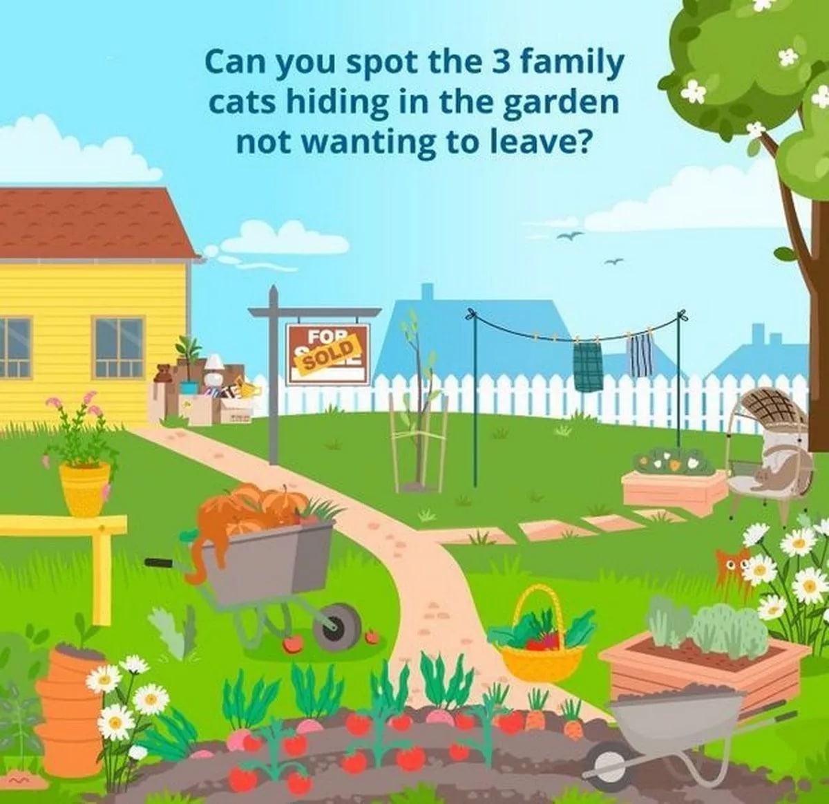 Er zitten drie sluwe katten verstopt in deze afbeelding