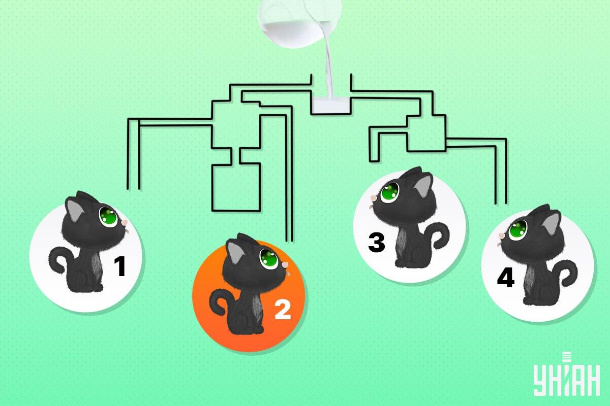 De gelukkige kat was nummer 2 / Moje collage