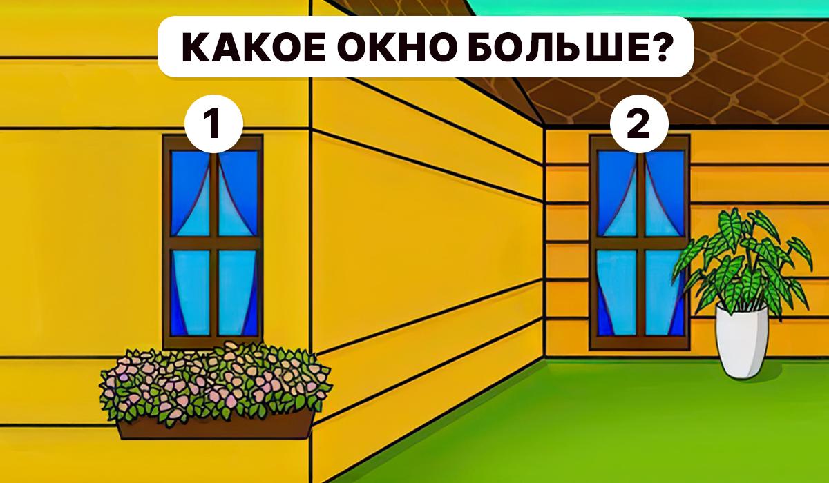 Je moet begrijpen welk venster groter is / Moje collage