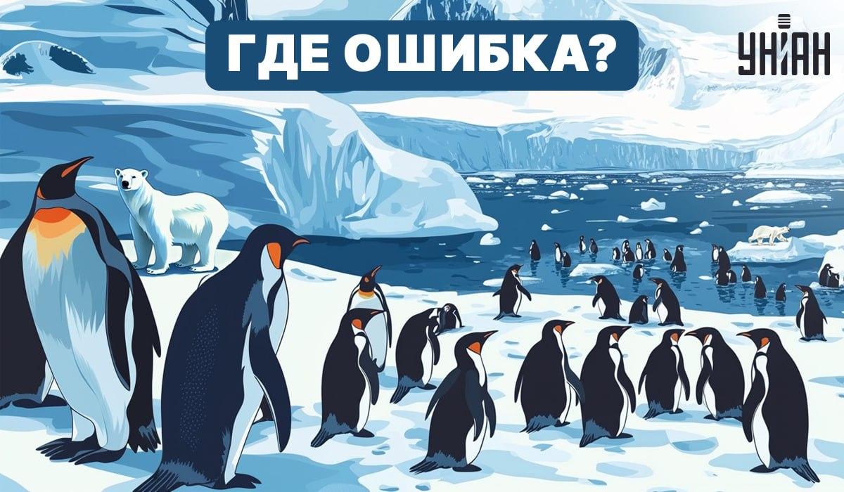 Kun jij ontdekken wat er fout is in de afbeelding? / Moje