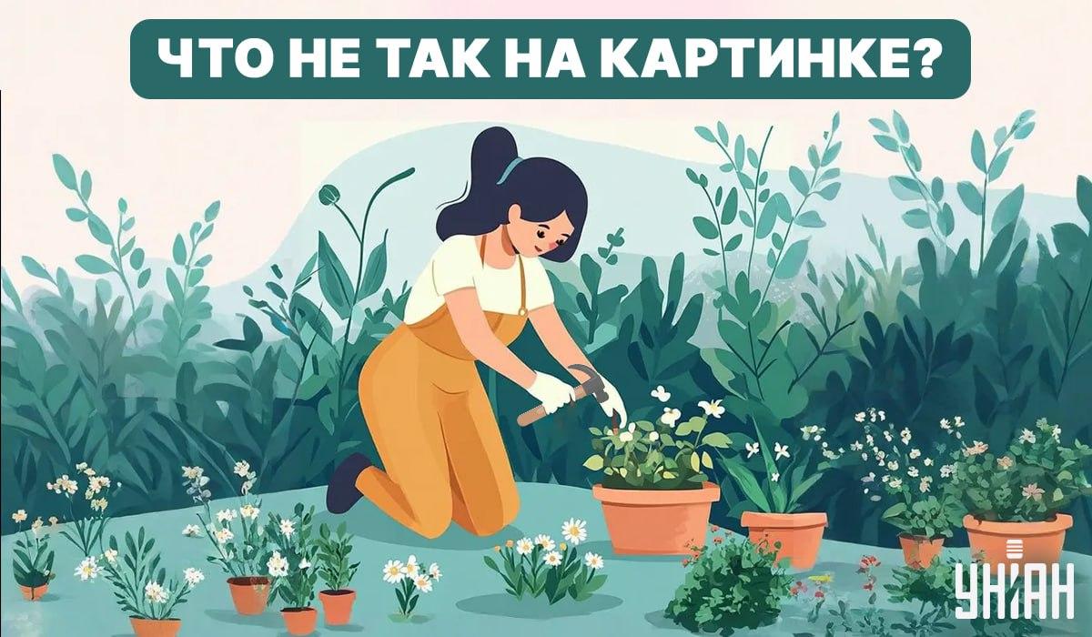 Probeer een fout te vinden / Collage - Moje