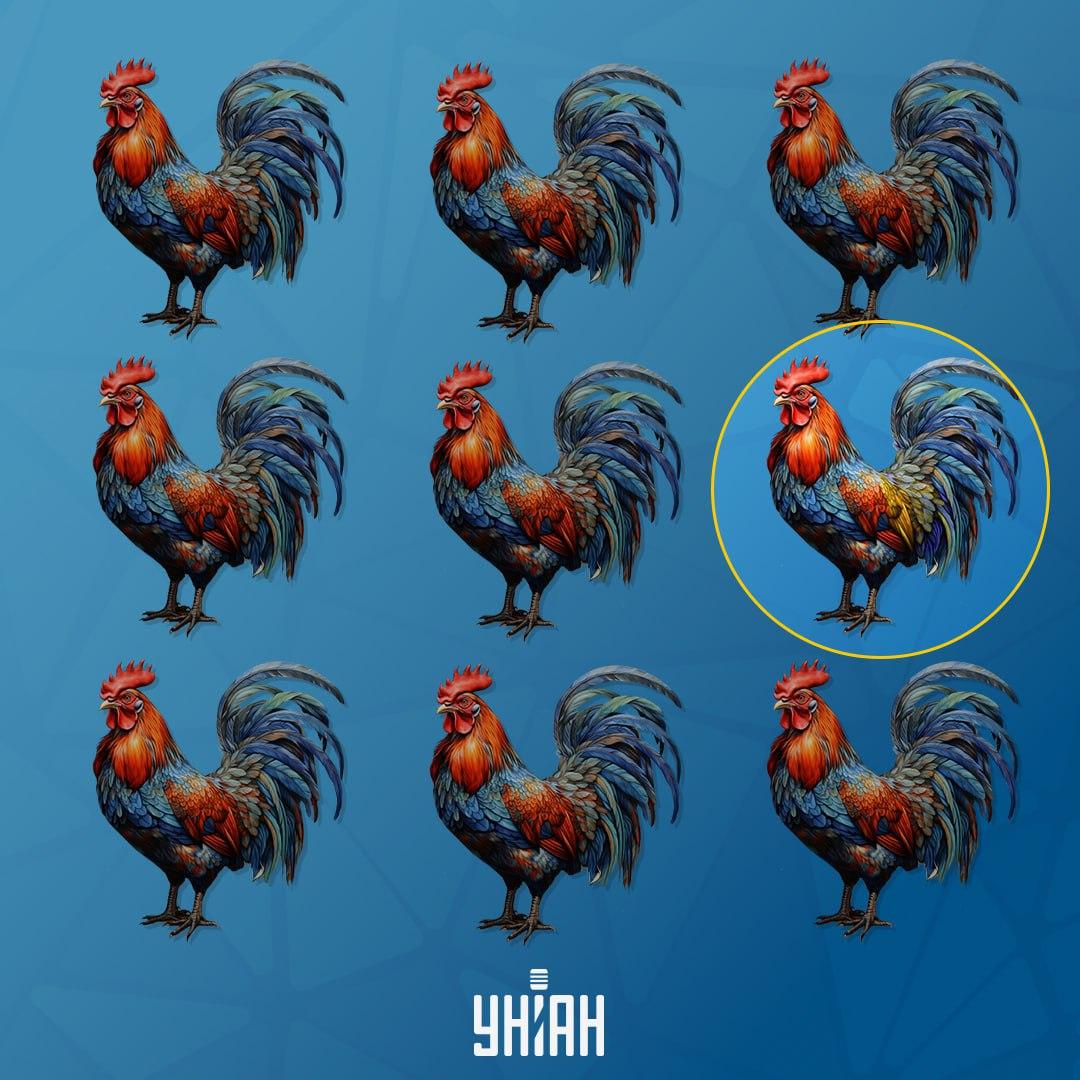 De haan, die anders is dan de anderen, stond links / Moje collage