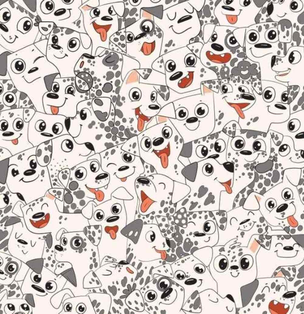 Probeer zo snel mogelijk een vlinder te vinden / Brightside tekening