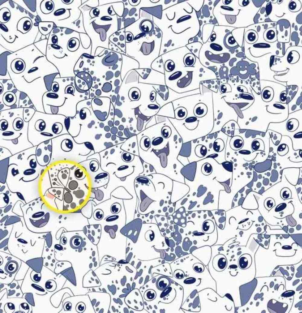 De vlinder zat aan de rechterkant / Brightside tekening