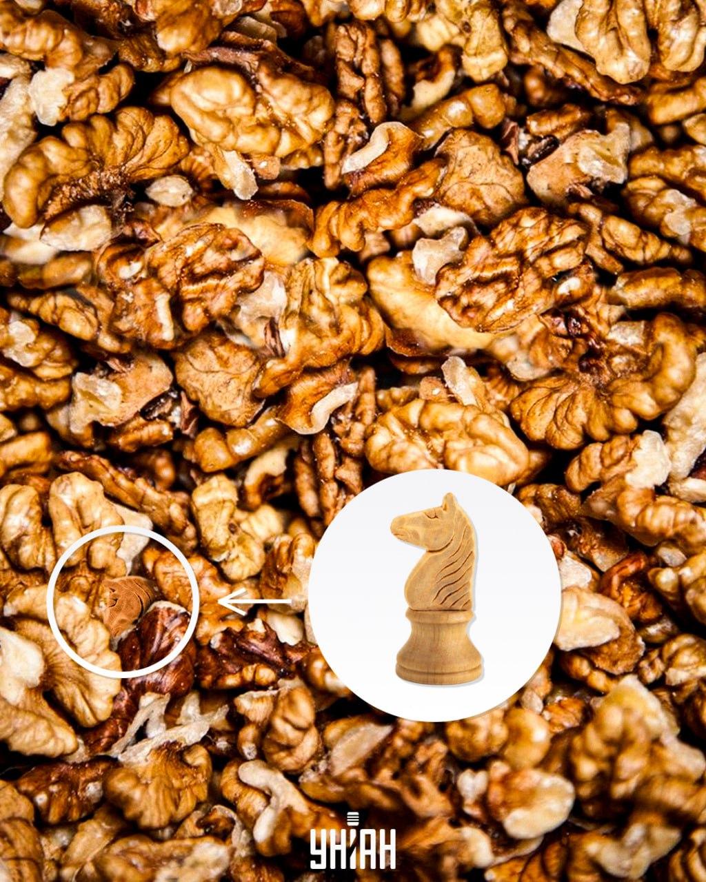 Reactie / foto door Moje