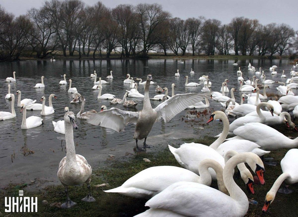 Het kan in elk deel van de afbeelding zijn / Moje Collage