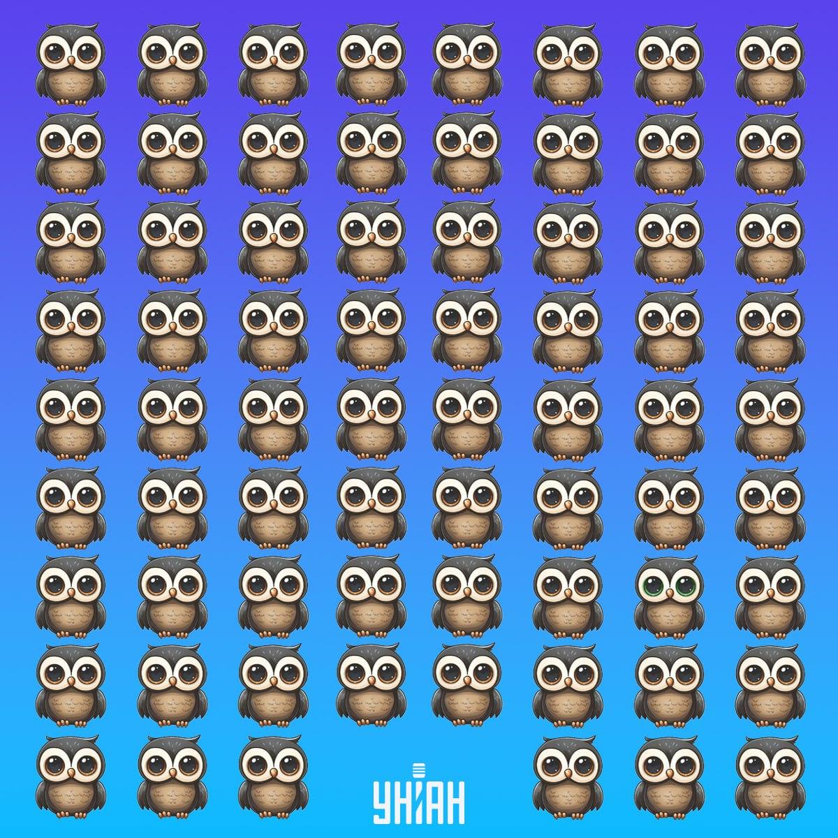 Vind een zeldzame vogel in de tijd / Moje collage