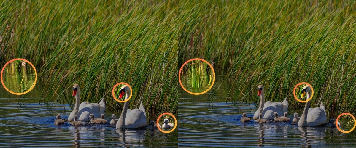 Om de puzzel aan te kunnen was het nodig om op kleine details te letten / collage Moje