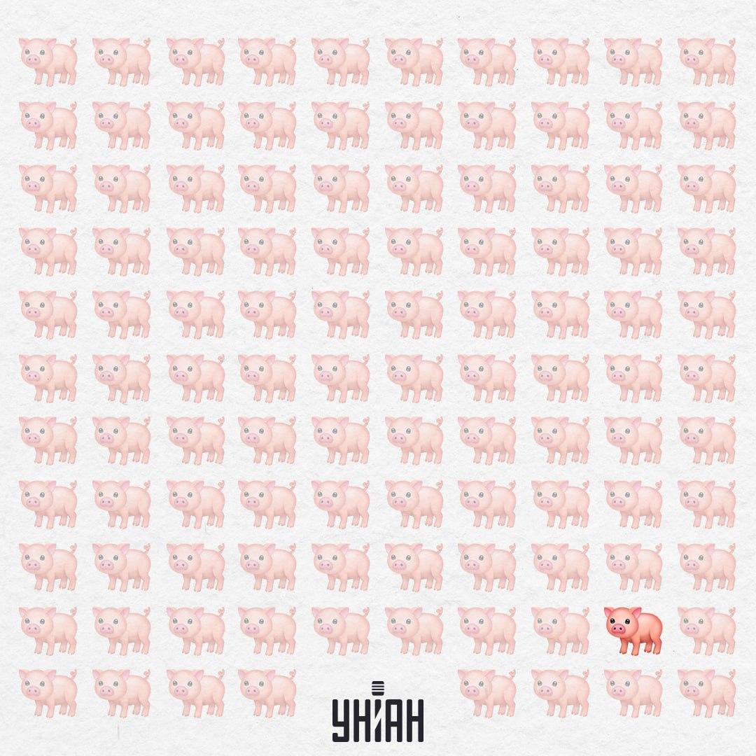 Dit biggetje is echt vreemd, het heeft geen roze staart / Collage Moje