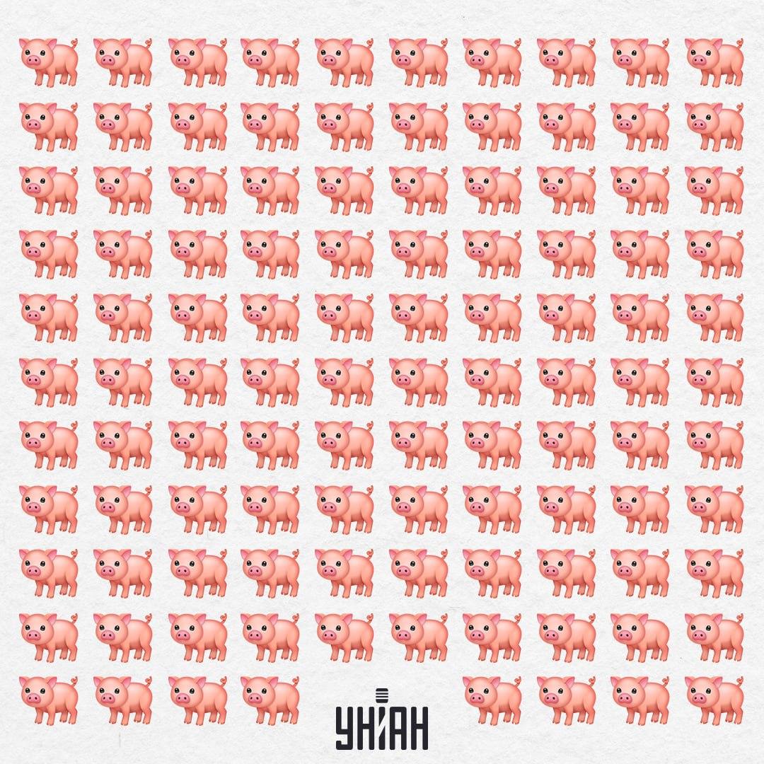 Ons varken is daar ergens, het zal ons niet zo snel opvallen / Moje Collage