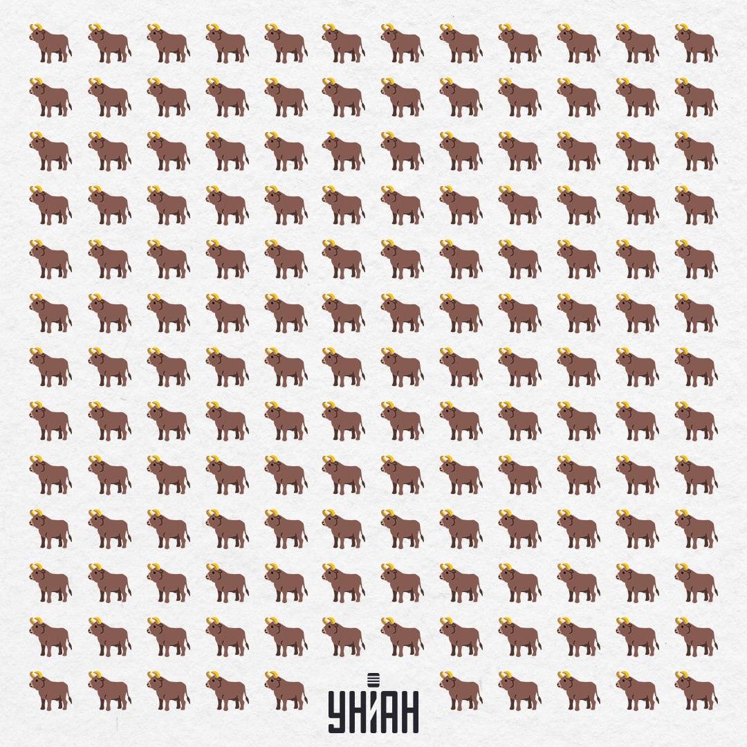 Er zijn er hier 154, maar eentje is niet zoals deze - die moet je in 10 seconden zien / Moje Collage