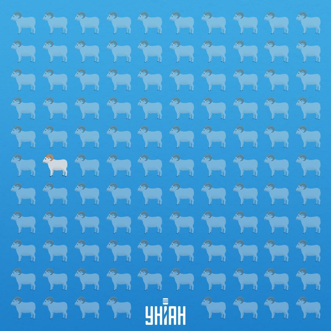 Hij stond in de zevende rij aan de linkerkant / Moje Collage