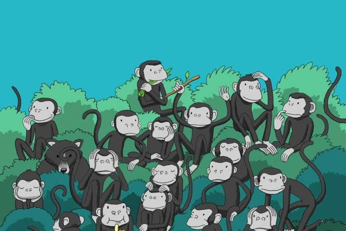 Probeer de puzzel in 4 seconden op te lossen / Bright Side tekenen