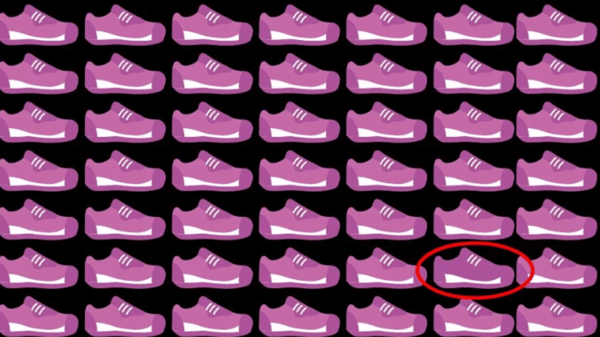 In de afbeelding moet je een unieke schoen vinden / foto fresherslive.com