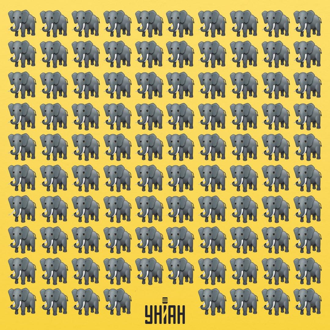 We moeten een vreemde olifant vinden / collage Moje