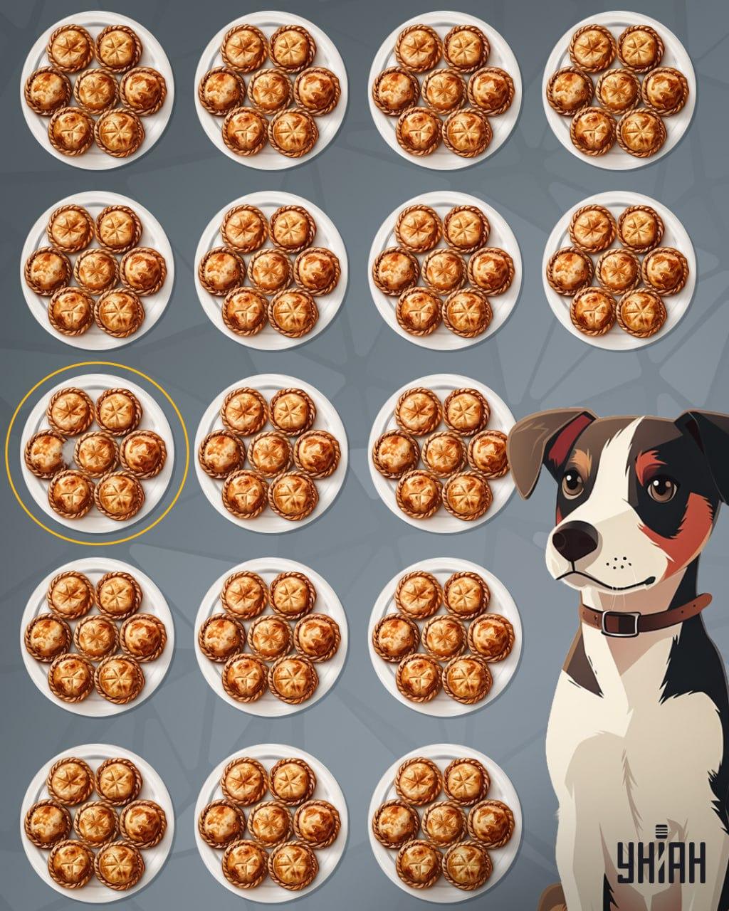 De taart was niet ver van het midden van de puzzel / Moje collage