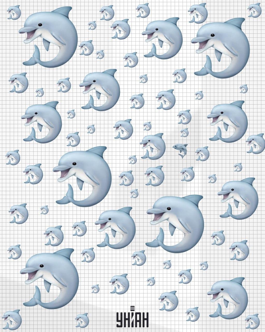 Het duurt minder dan 10 seconden om een haai te vinden / Moje collage